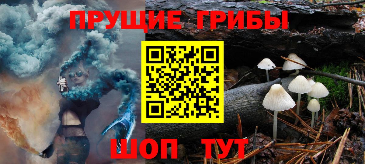 Галлюциногенные грибы Psilocybine cubensis Реутов