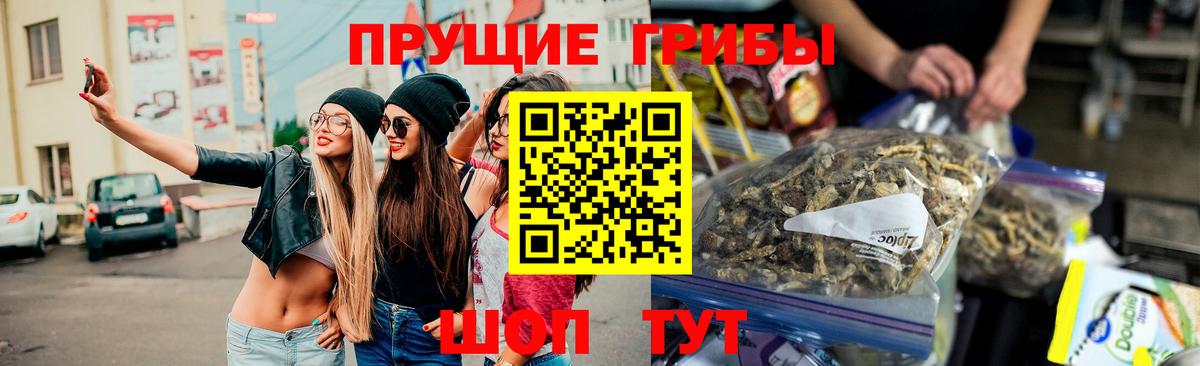 Реутов  Псилоцибиновые грибы Psilocybine cubensis  Галлюциногенные грибы Psilocybe  Вход с VPN 